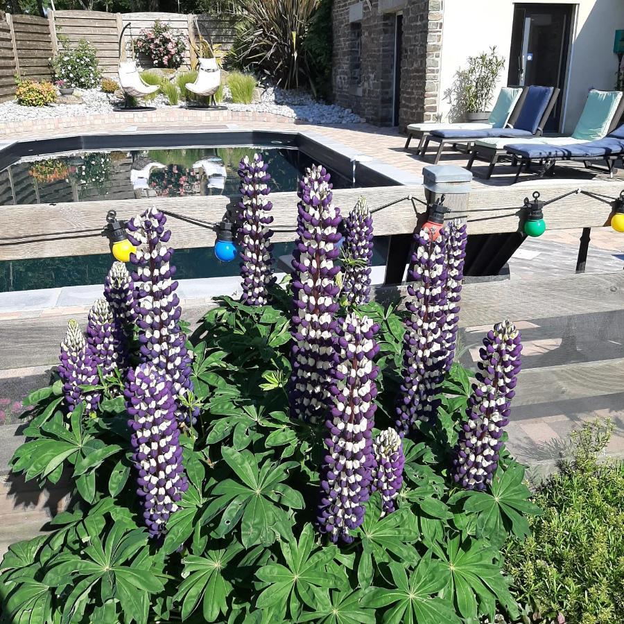 Le Val Daniniere B&B Adult Only Le Mesnil-Garnier 외부 사진