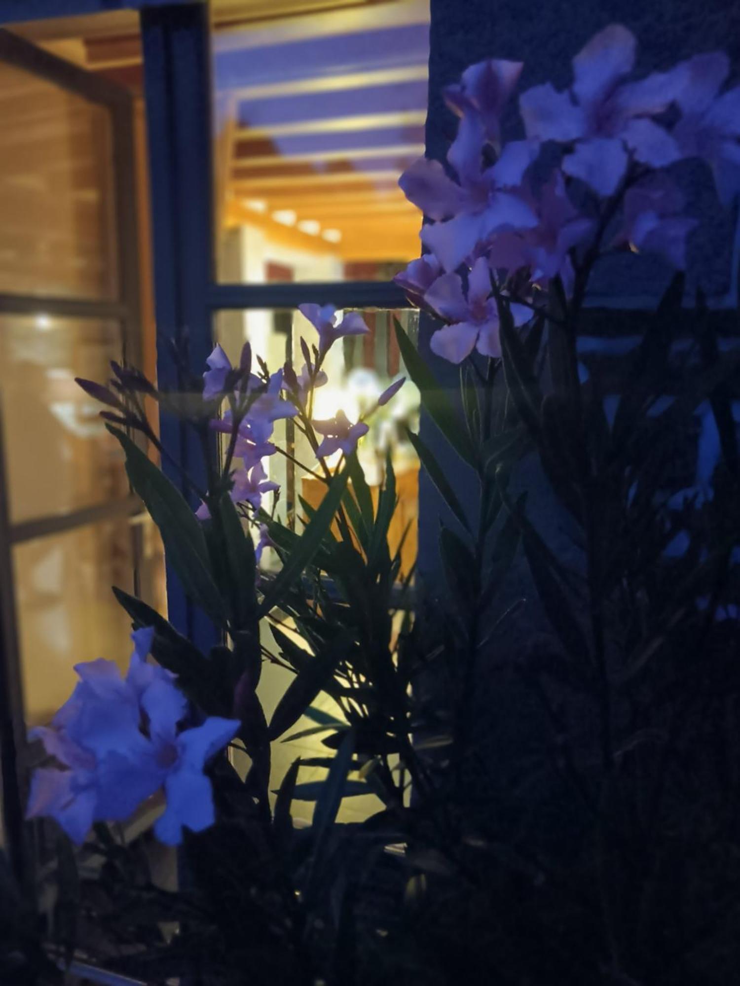 Le Val Daniniere B&B Adult Only Le Mesnil-Garnier 외부 사진